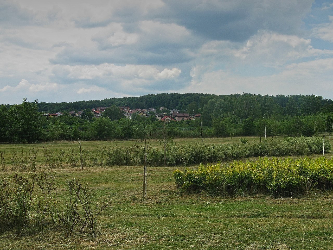 Góra Hugona w Świętochłowicach