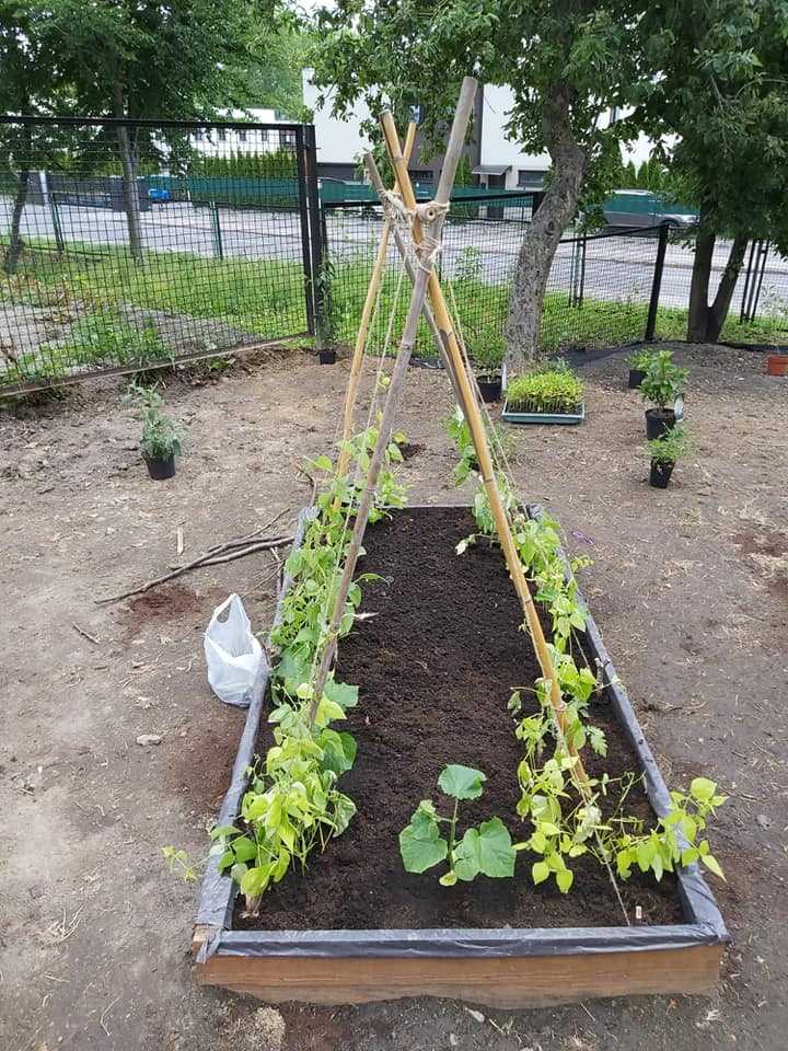 Nowy ogród powstaje na terenie Zespołu Szkół Ogólnokształcących w Chropaczowie 1