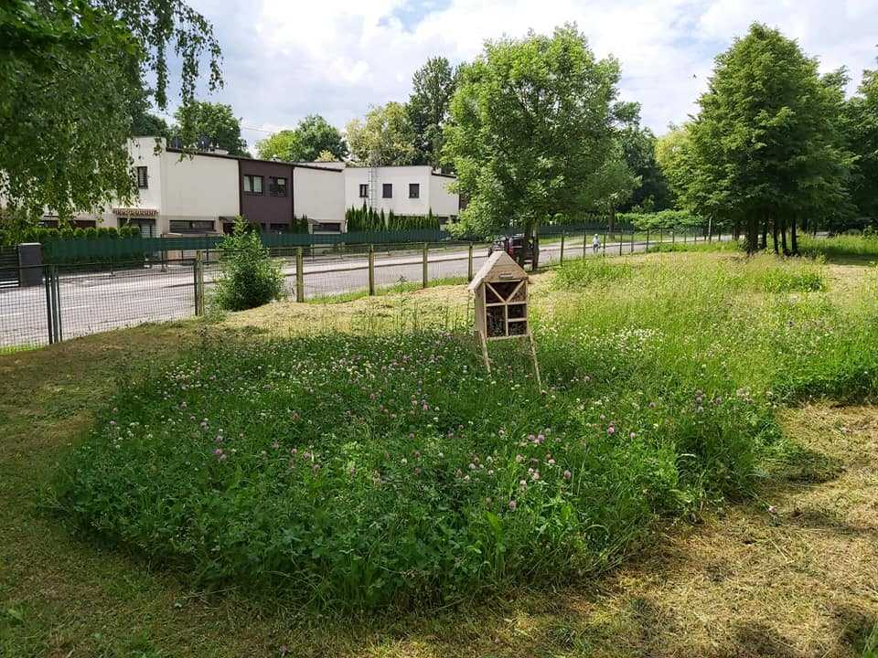 Nowy ogród powstaje na terenie Zespołu Szkół Ogólnokształcących w Chropaczowie 3