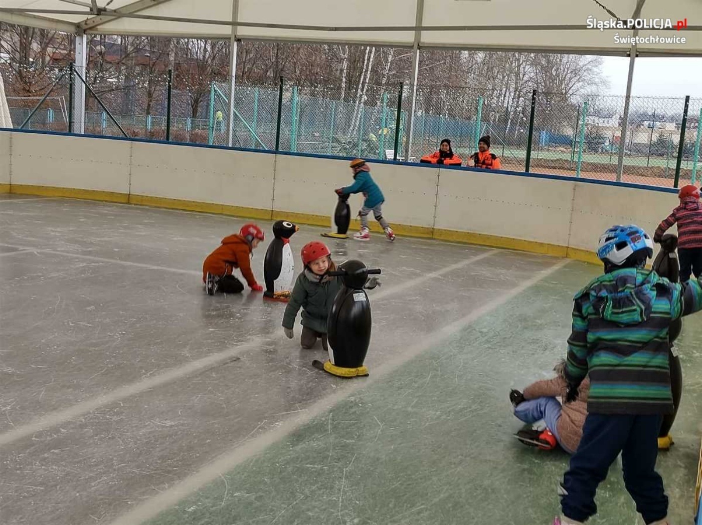 Pingwinkowe zawody w Świętochłowicach 10