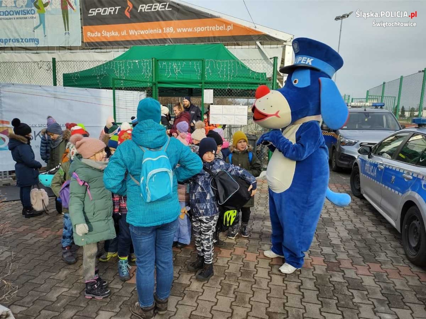 Pingwinkowe zawody w Świętochłowicach 17