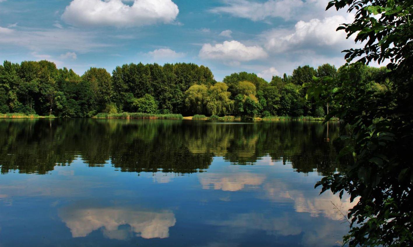 Staw Zacisze (Magiera) w Świętochłowicach