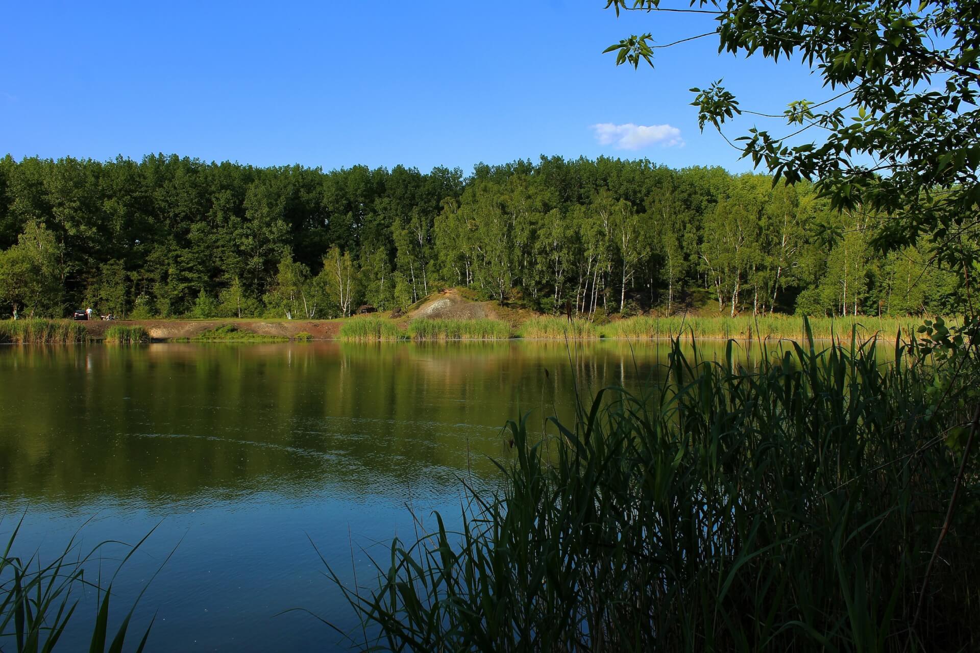 Staw Żegnica (Milicyjny) w Świętochłowicach