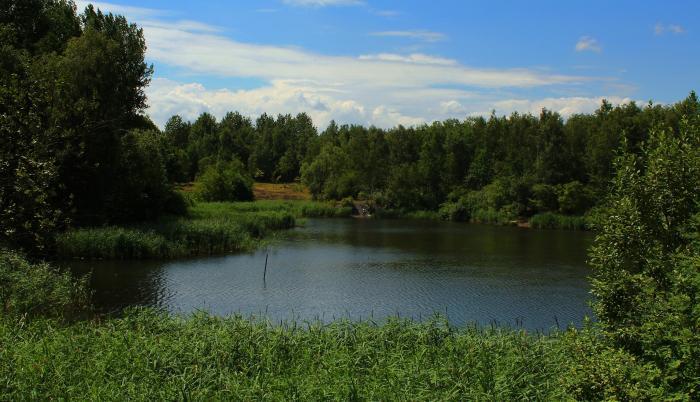 Staw Zojra w Świętochłowicach