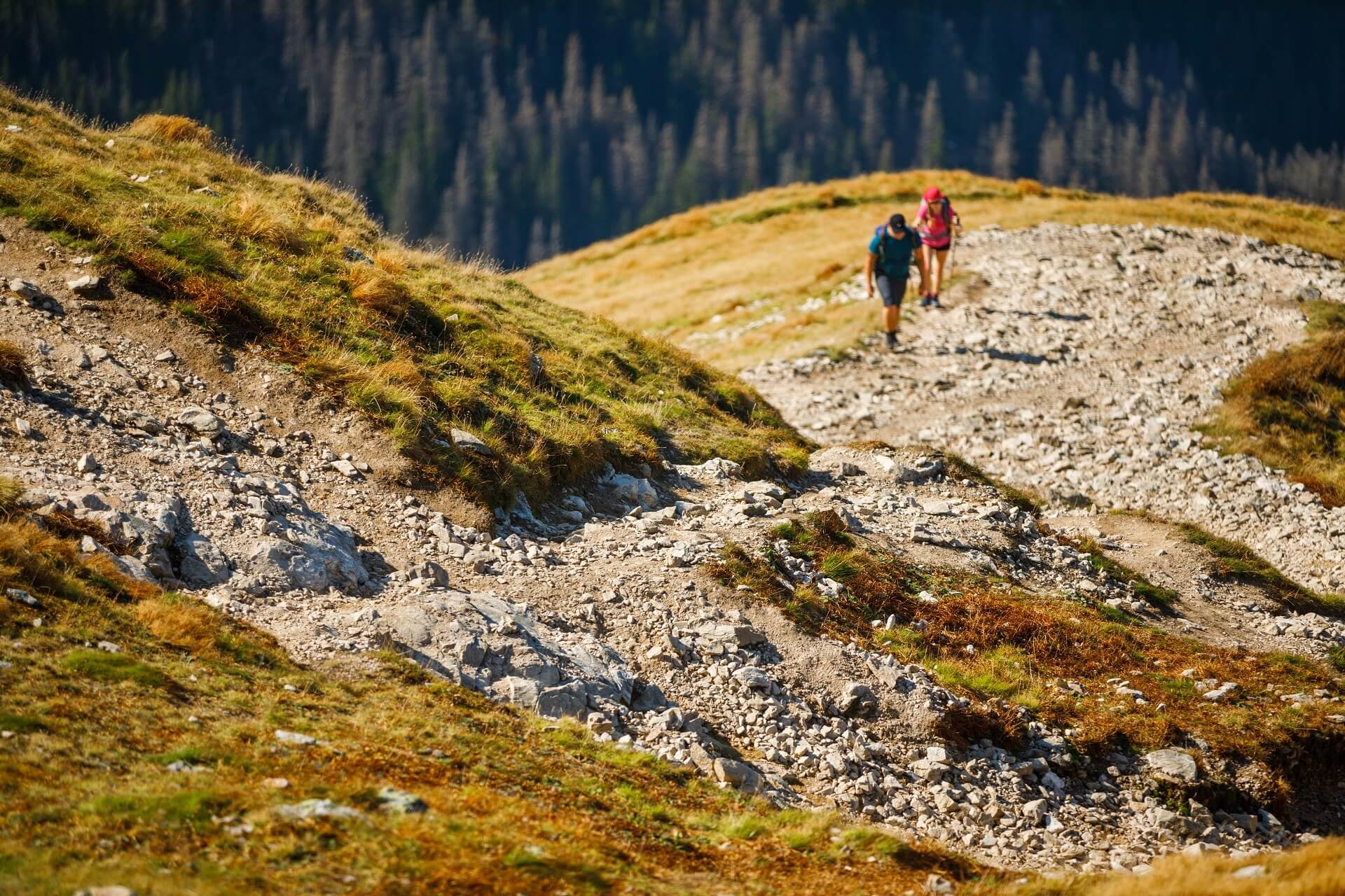 Tatry Zachodnie Wołowiec