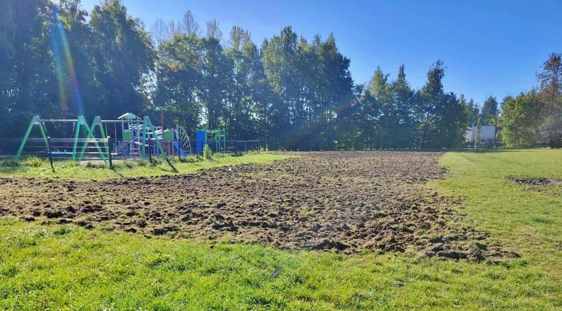 Przy osiedlu Brzezina w Świętochłowicach powstanie łąka kwietna Przy osiedlu Brzezina w Świętochłowicach powstanie łąka kwietna