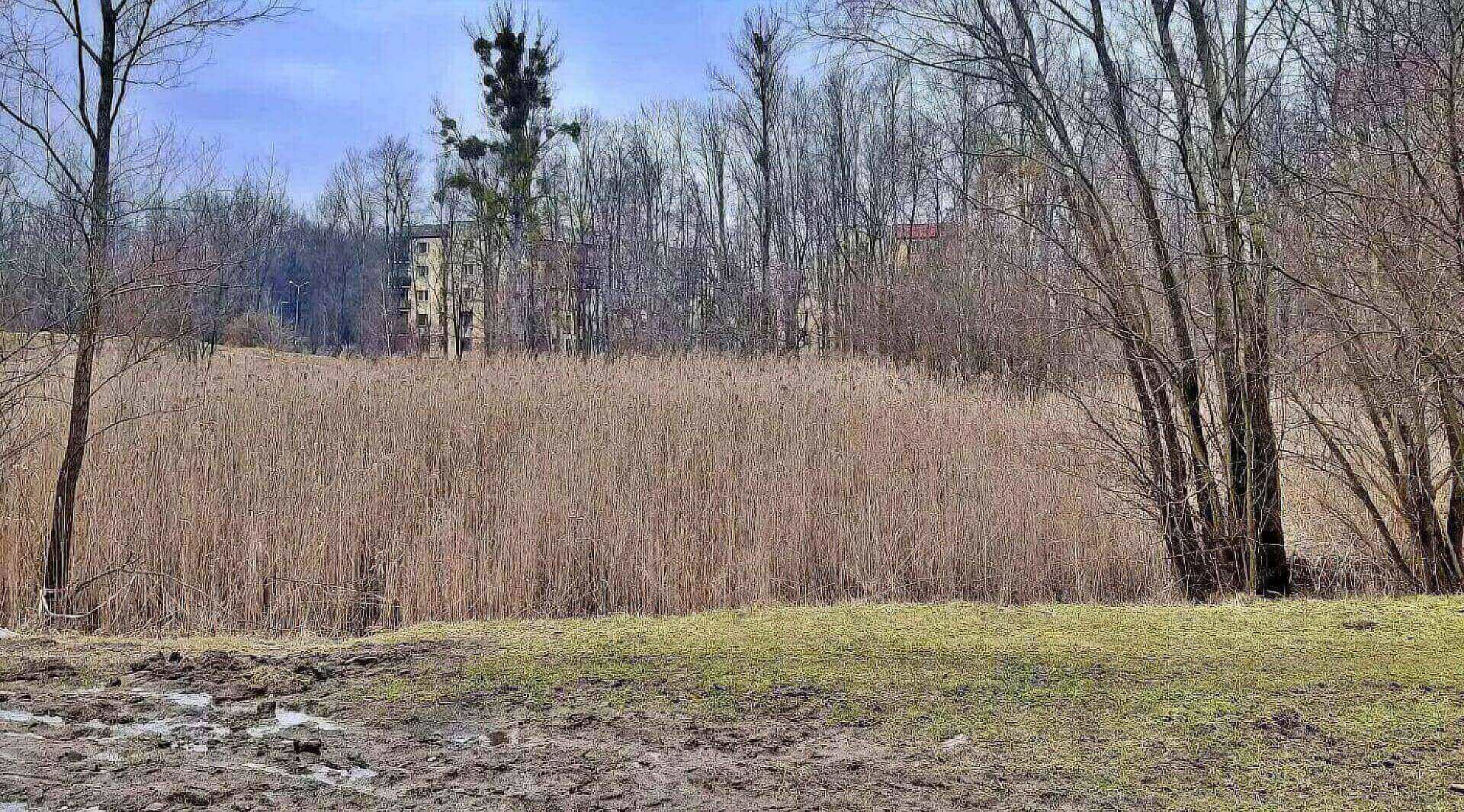 Przy osiedlu Brzezina w Świętochłowicach będzie ładniej Ruszyły prace przy oczku wodnym Przy osiedlu Brzezina w Świętochłowicach będzie ładniej Ruszyły prace przy oczku wodnym