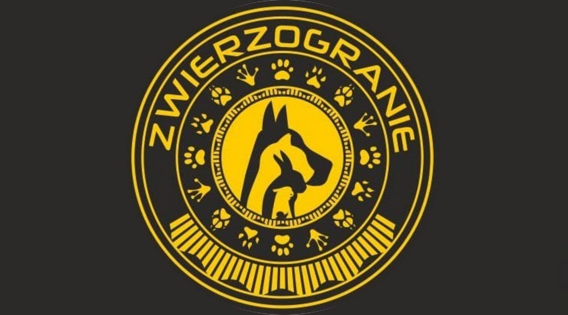 Zwierzogranie w Świętochłowicach Piknik na rzecz zwierząt Zwierzogranie w Świętochłowicach Piknik na rzecz zwierząt