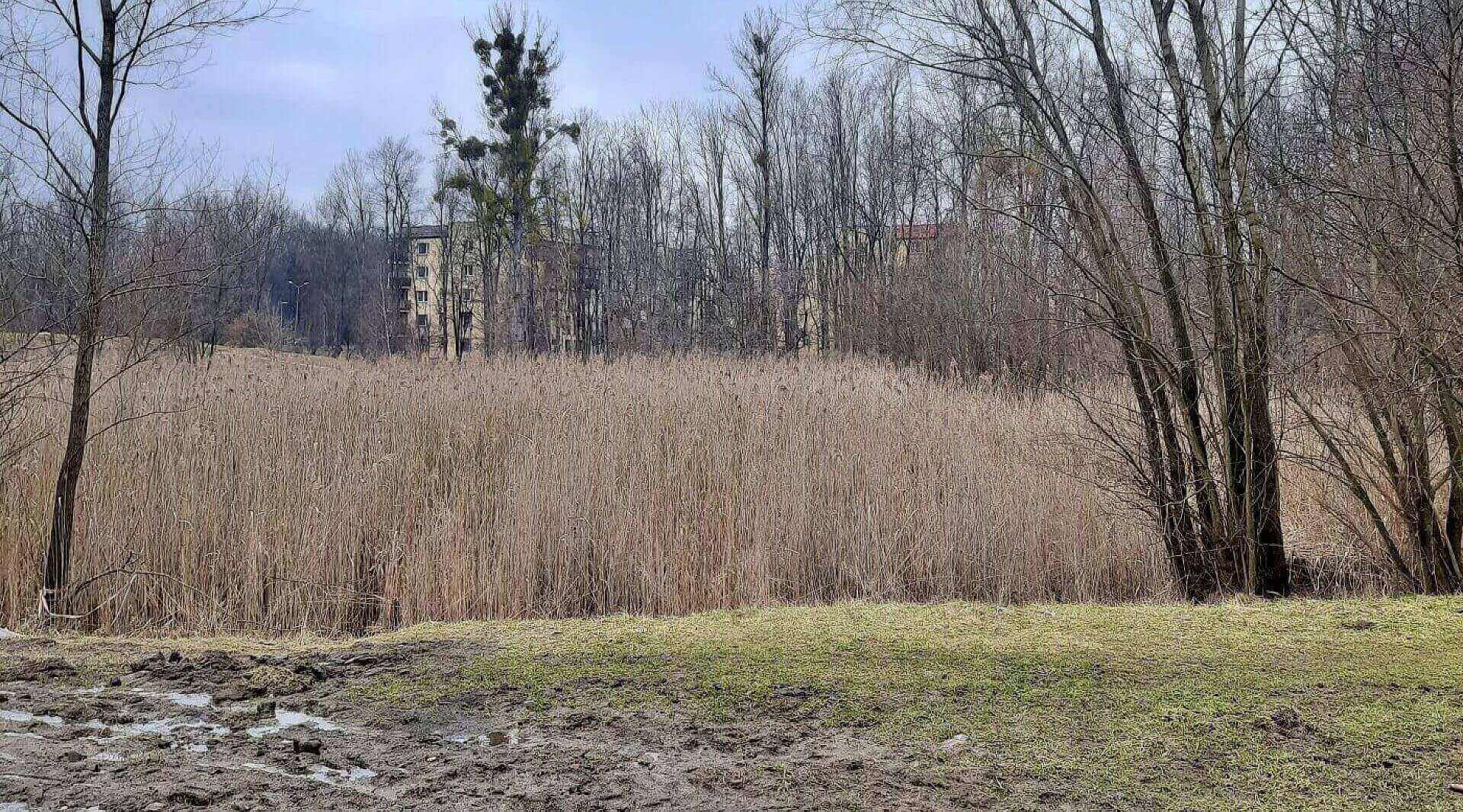 Swietochlowice slezan oczko wodne Swietochlowice slezan oczko wodne