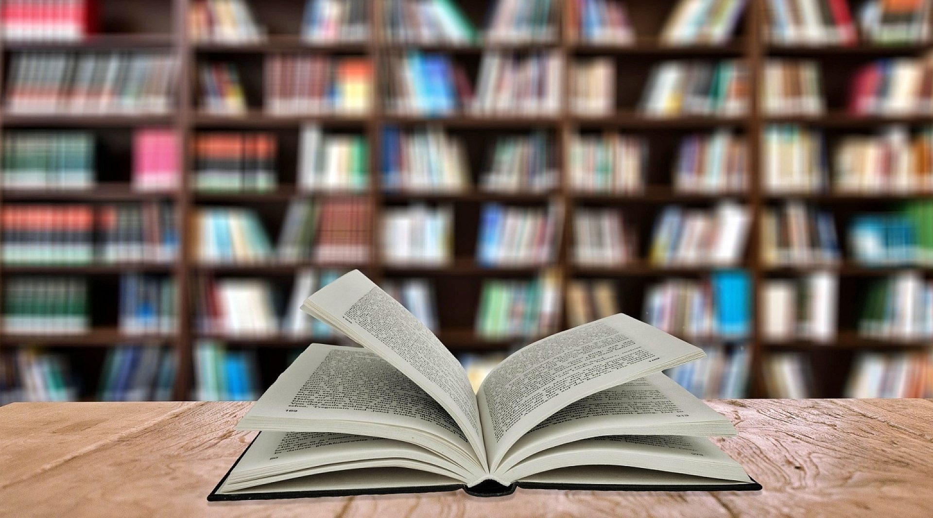 Świąteczny Kiermasz Książek w Świętochłowicach Świąteczny Kiermasz Książek w Świętochłowicach