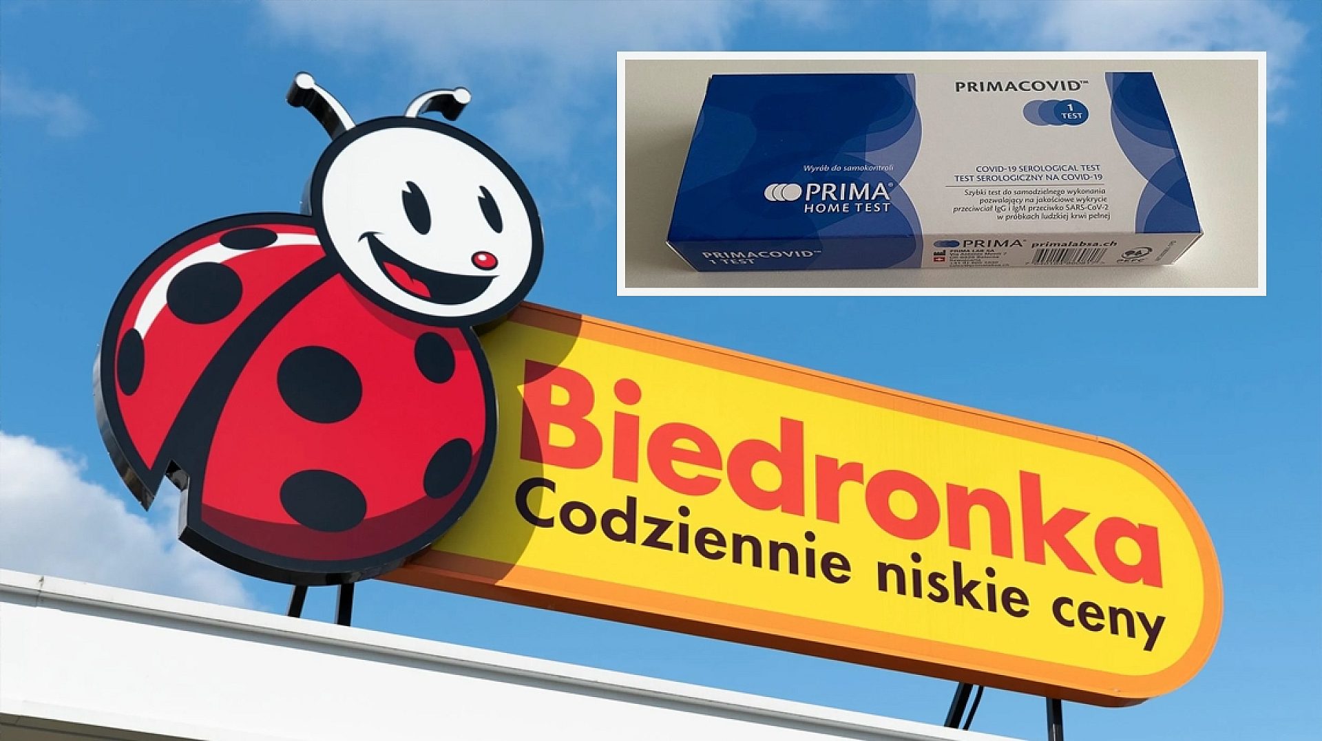 Biedronka Biedronka