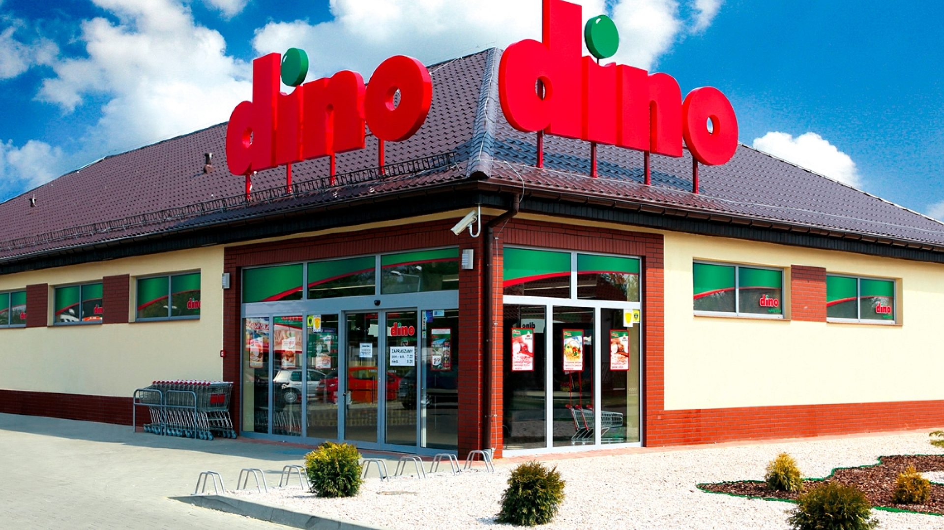 Dino Dino
