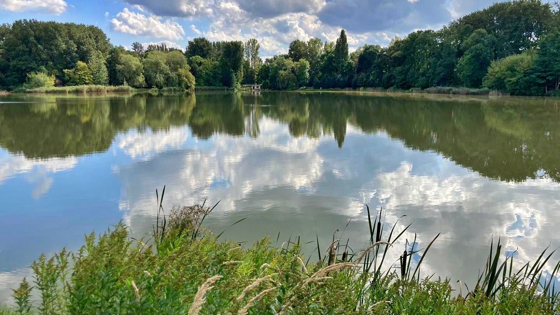 Władze Świętochłowic zapraszają na spotkanie w sprawie przyszłości Parku Jordanowskiego Władze Świętochłowic zapraszają na spotkanie w sprawie przyszłości Parku Jordanowskiego