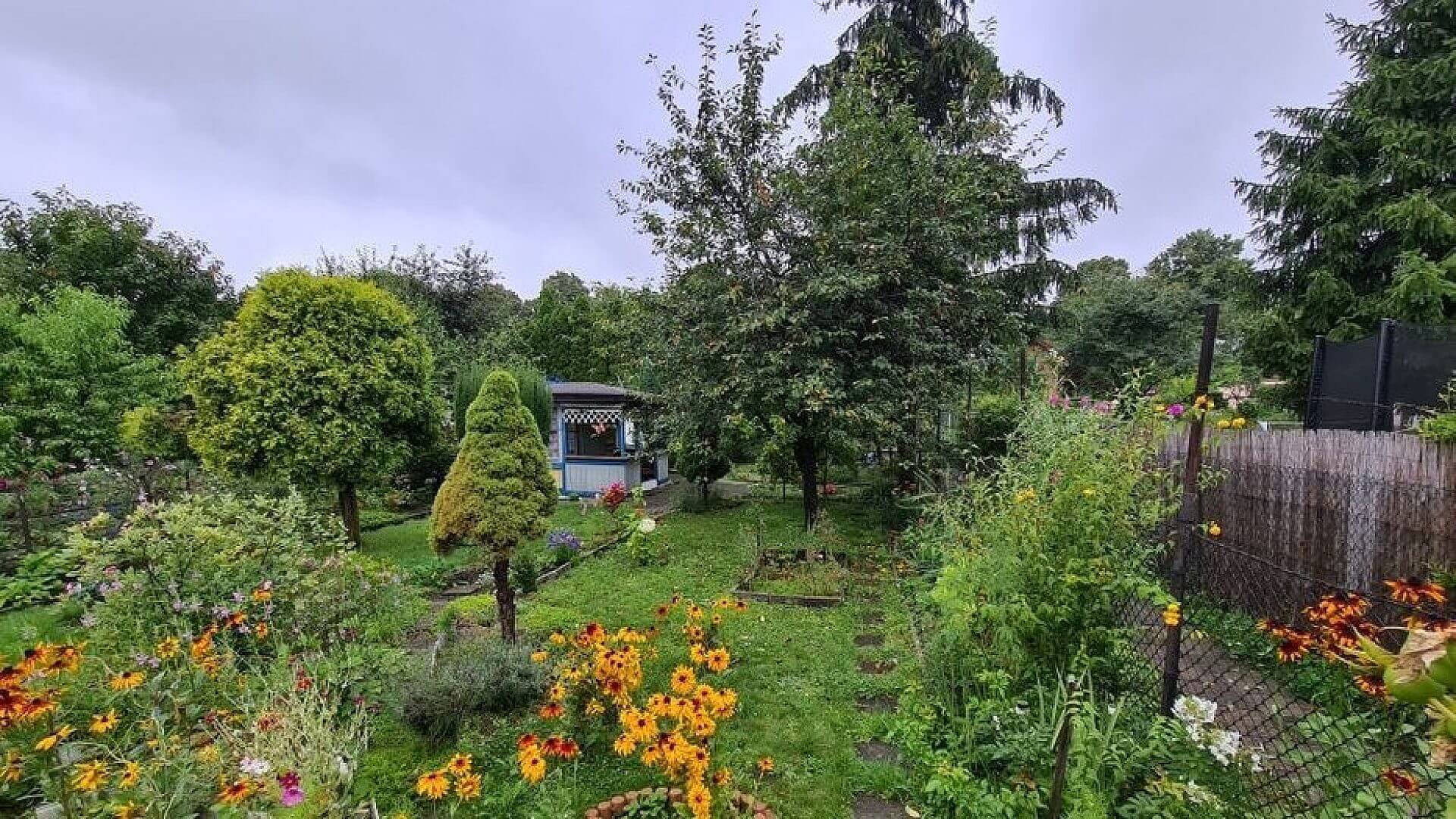 Ogrodek chorzow Ogrodek chorzow