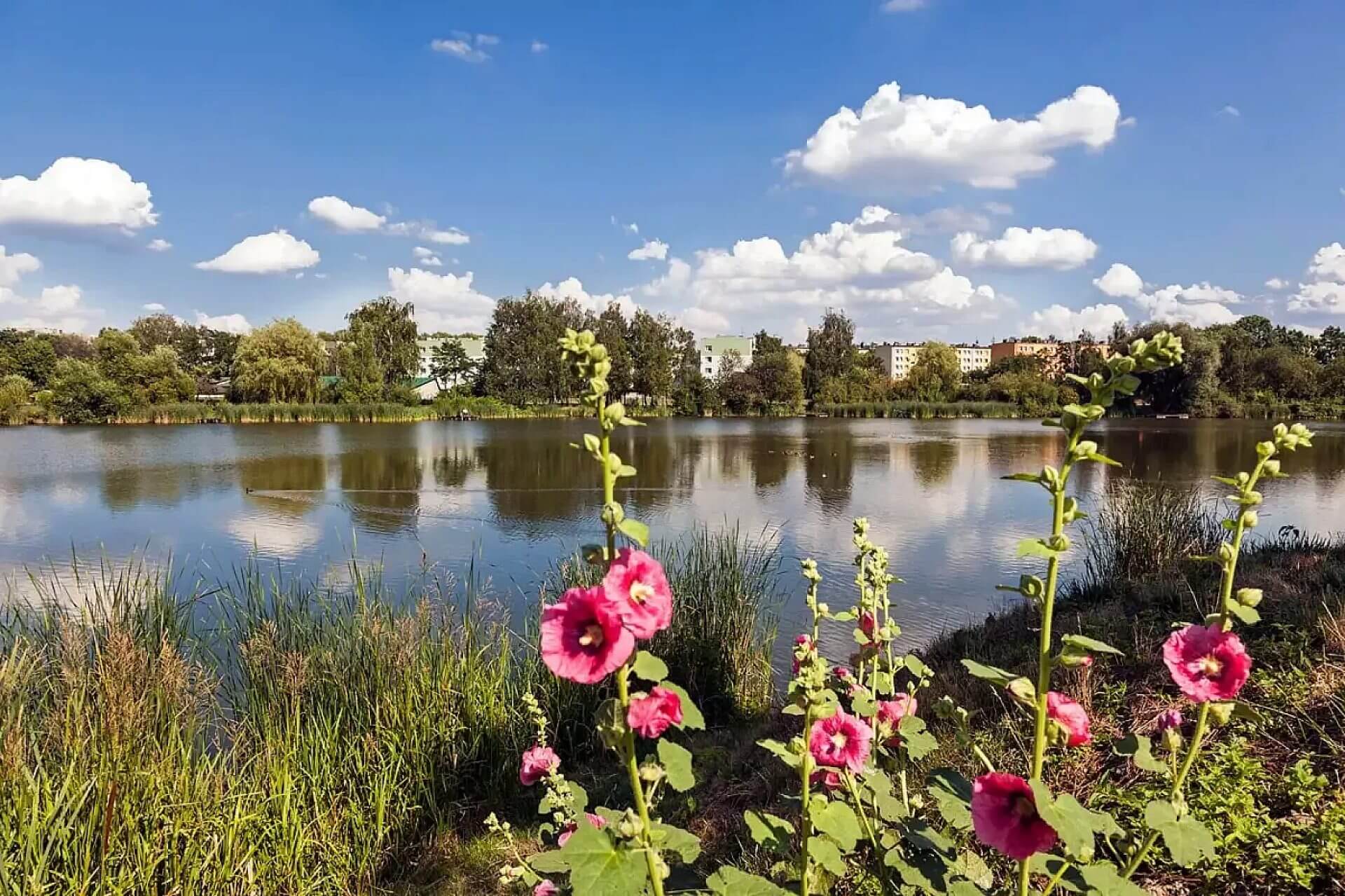 Wspólne sprzątanie okolic Foryśki w Świętochłowicach Wspólne sprzątanie okolic Foryśki w Świętochłowicach