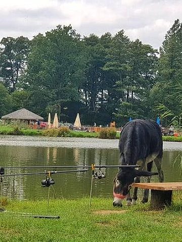 Rybołówka, Mikołów Rybołówka, Mikołów