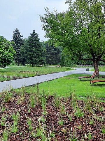 217610763 346466103711555 6874419083660005445 n 217610763 346466103711555 6874419083660005445 n