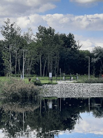 Staw Kalina w Świętochłowicach Staw Kalina w Świętochłowicach