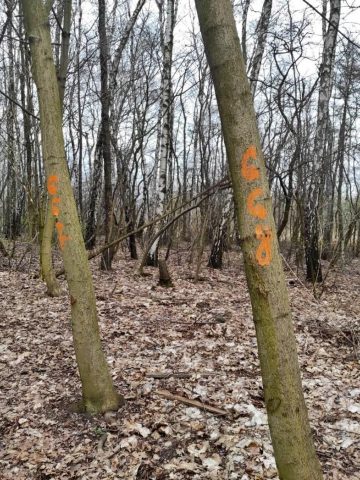 Góra Hugona w Świętochłowicach Tu zaszła zmiana 6 Góra Hugona w Świętochłowicach Tu zaszła zmiana 6