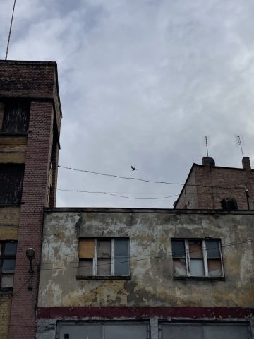 Katowicka 15 Katowicka 15