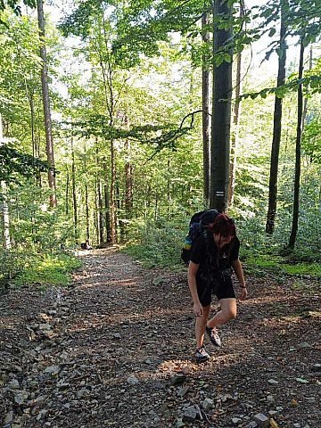 Jubileuszowy rajd świętochłowickiego Kochana Liceum obchodzi 75 lecie istnienia 14 Jubileuszowy rajd świętochłowickiego Kochana Liceum obchodzi 75 lecie istnienia 14