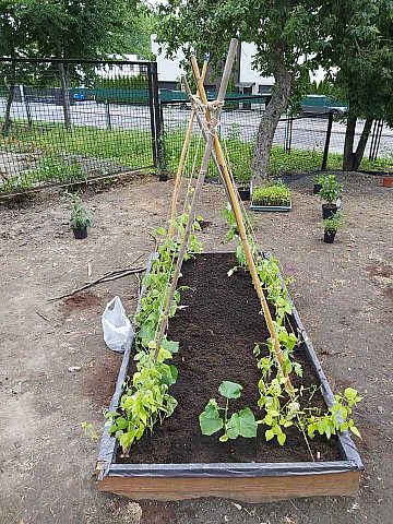 Nowy ogród powstaje na terenie Zespołu Szkół Ogólnokształcących w Chropaczowie 1 Nowy ogród powstaje na terenie Zespołu Szkół Ogólnokształcących w Chropaczowie 1