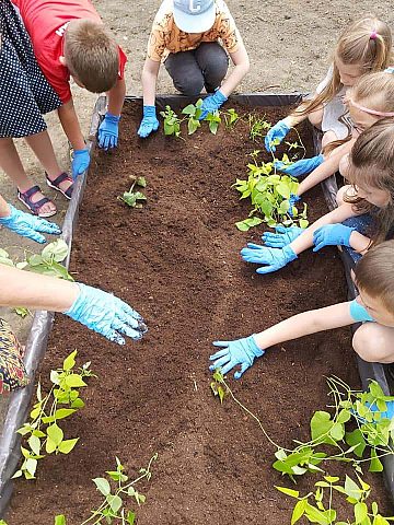 Nowy ogród powstaje na terenie Zespołu Szkół Ogólnokształcących w Chropaczowie 6 Nowy ogród powstaje na terenie Zespołu Szkół Ogólnokształcących w Chropaczowie 6