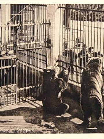 ZOO w Bytomiu ZOO w Bytomiu