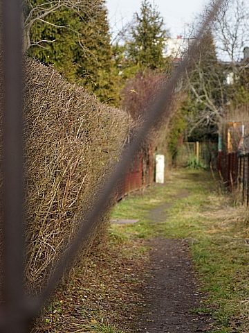 Świętochłowice Ogródkowy złodziej 2 Świętochłowice Ogródkowy złodziej 2