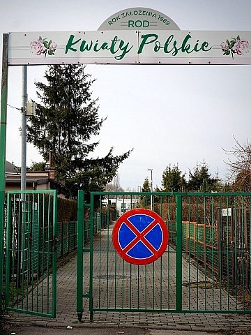 Świętochłowice Ogródkowy złodziej 3 Świętochłowice Ogródkowy złodziej 3