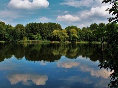 Staw Zacisze (Magiera) w Świętochłowicach
