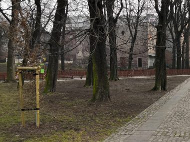 Miasto sprząta się po zimie Parki