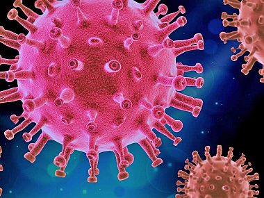 W Polsce padł kolejny rekord zakażeń! Jak to wygląda w Świętochłowicach? Virus