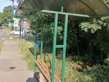 Wycinka drzew w Świętochłowicach od przyszłego tygodnia Wycinka Śląska Świętochłowice