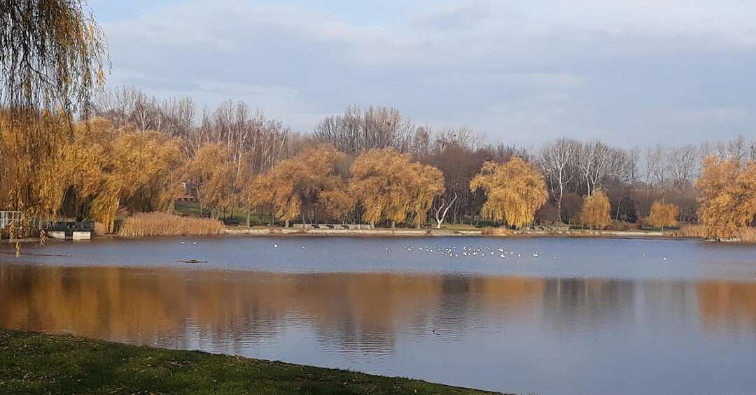 Świętochłowice zapraszają na wiosenną rozgrzewkę. Zajęcia poprowadzi August Jakubik