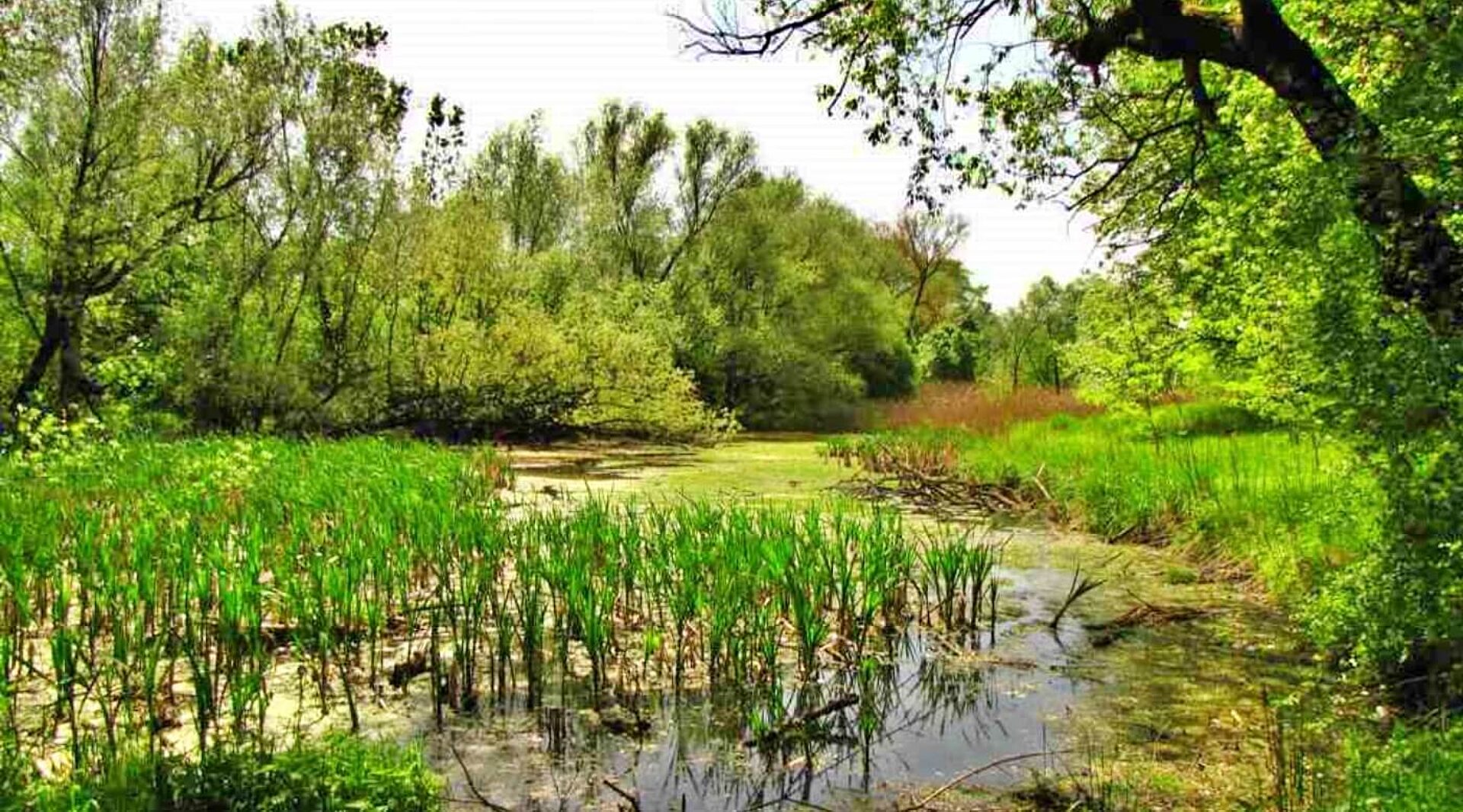Swietochlowice dolina lipinki Swietochlowice dolina lipinki