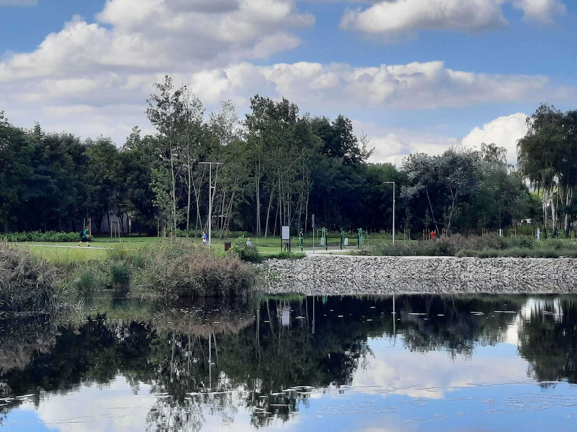 Swietochlowice staw kalina Swietochlowice staw kalina