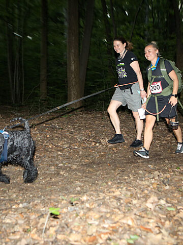 Dogtrekking park slaski 17 Dogtrekking park slaski 17